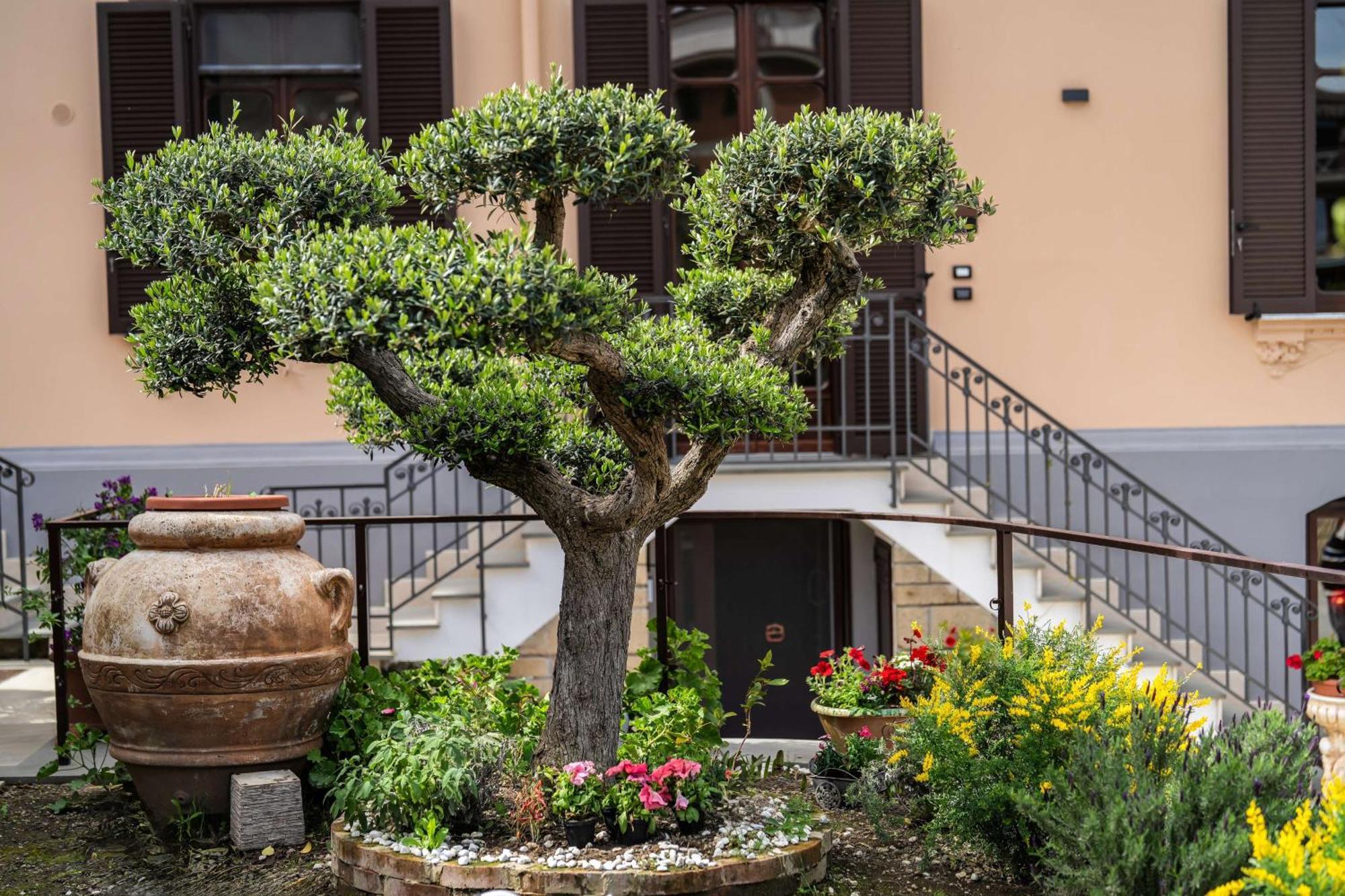Villa Agostino Luxury B&B 维克艾库塞 外观 照片